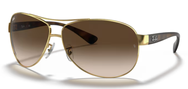 Ray-Ban RB3386